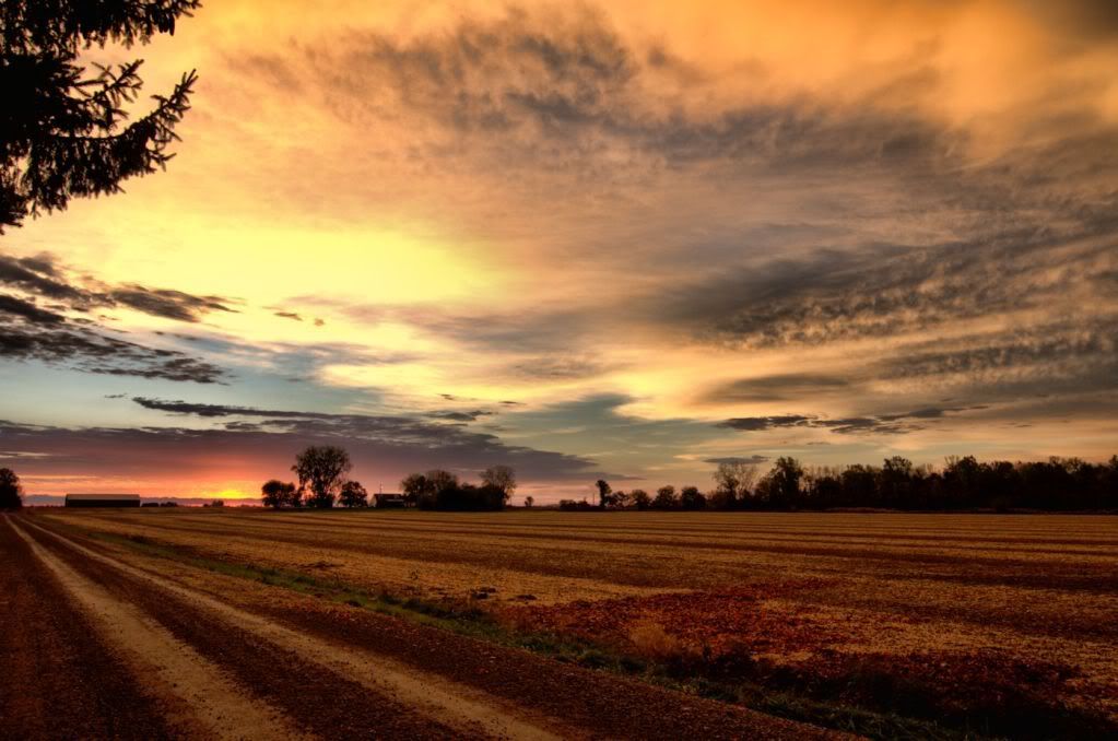 autumnmorning1400.jpg